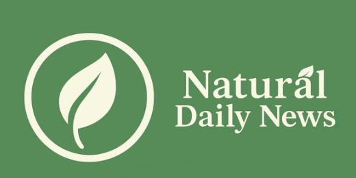 naturalhealthandwellness.online